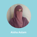 aisha aslam  external student