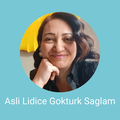 asli lidice saglam