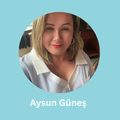 aysun external academics