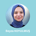 beyza koyulmus external academics