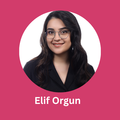 elif orgun industry and technology
