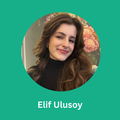 elif ulusoy educators and schools