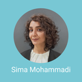 sima mohammadi