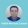 vahid norouzi larsari