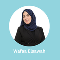 wafaa elsawah external academics