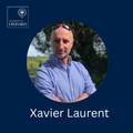 xavier laurent  internal academics